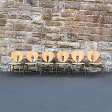 Load image into Gallery viewer, Stua Globus Spanish dining chairs
