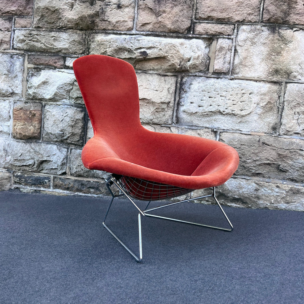 Knoll Bertoia Bird Chair